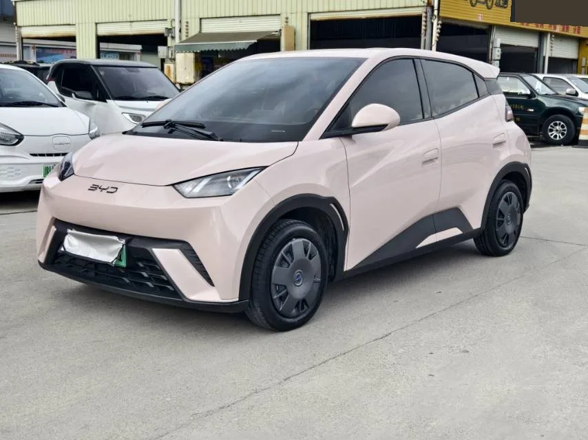 BYD 2024 Seagull Glory Edition 305km/h Vitality Edition Automatic