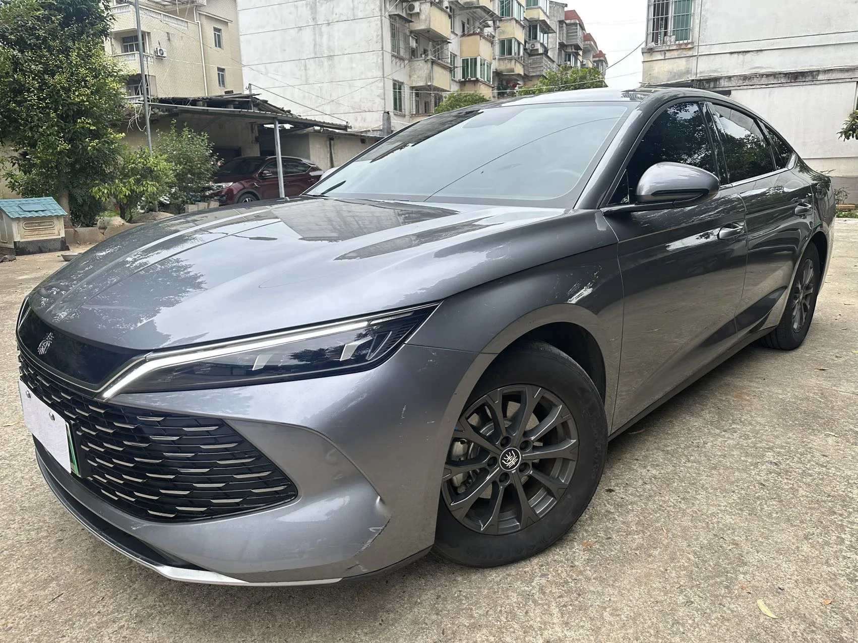 Qin L 2024 DM-i 80KM Leading Edition