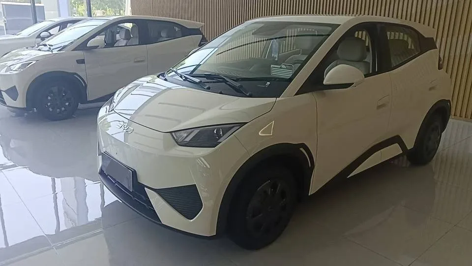 BYD 2025 Seagull Smart Driving Edition 305km/h Vitality Edition Automatic