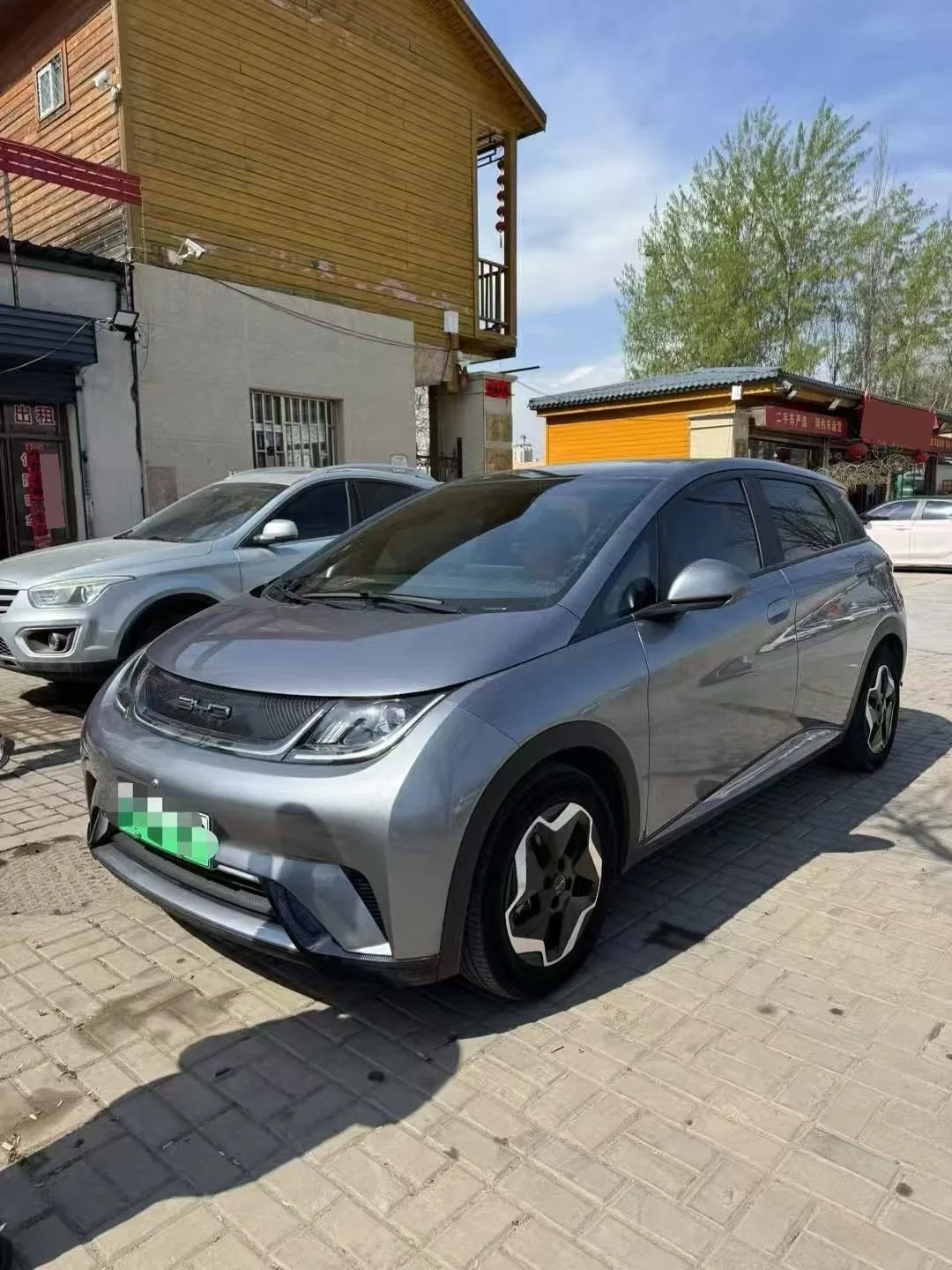 Dolphin 2021 405km Fashion Edition