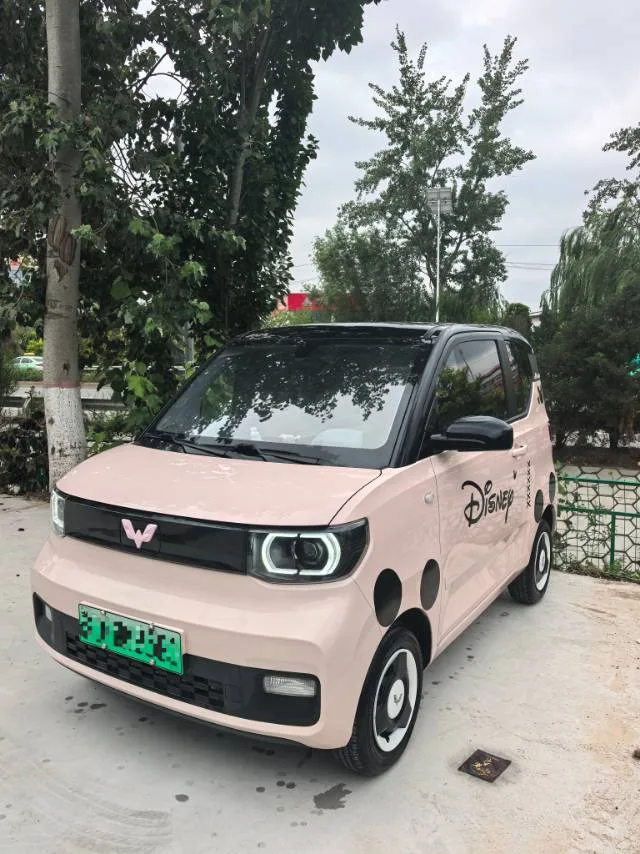 Hongguang MINIEV 2021 Macaron Premium Edition (Lithium Iron Phosphate)