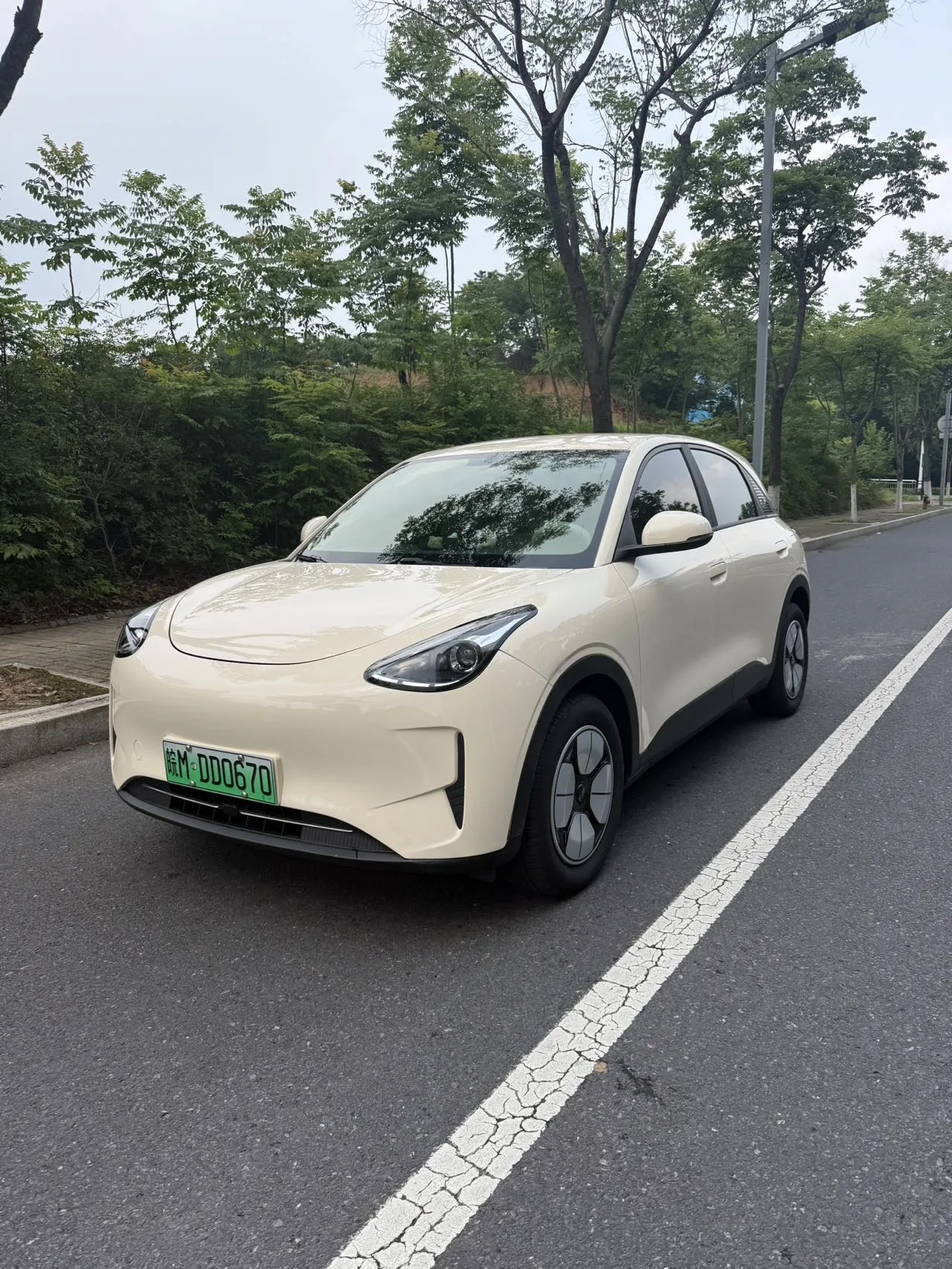 Star Wish 2025 310km Youth Edition