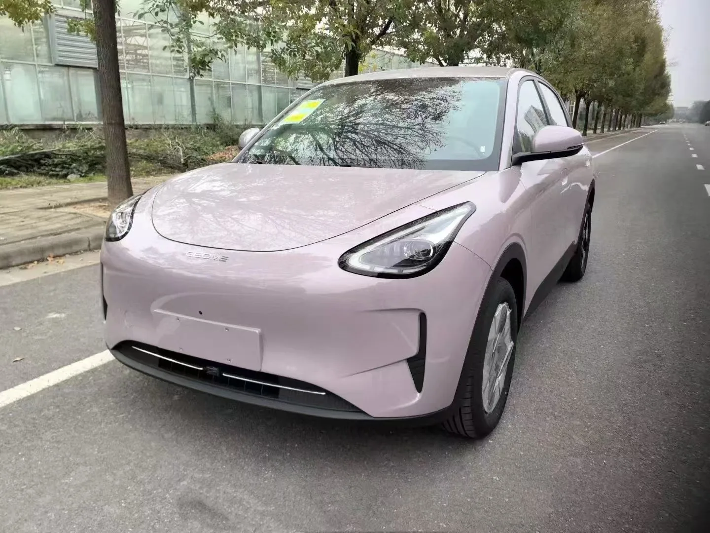 Star Wish 2026 Model 410km Freedom Edition