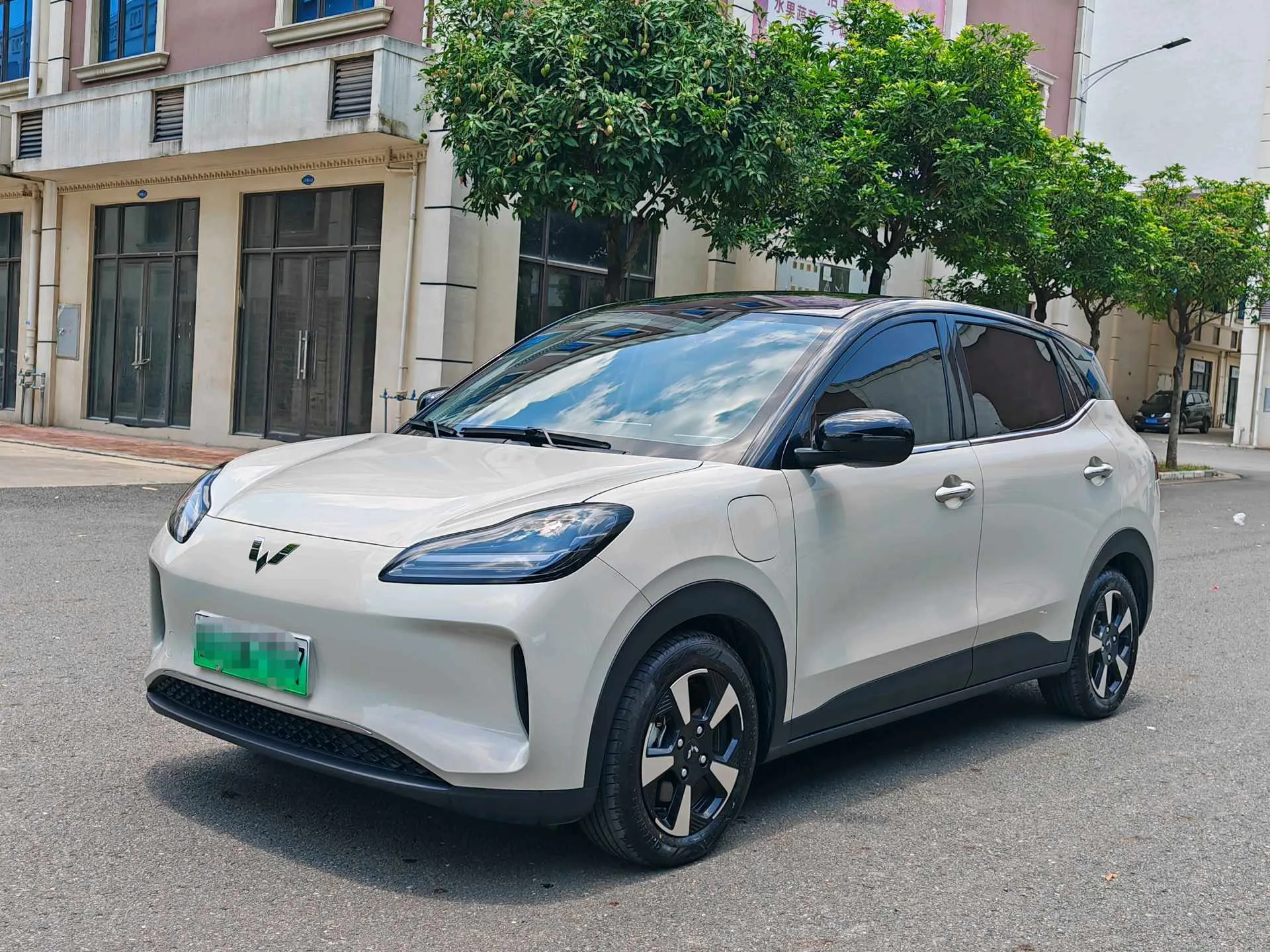 Wuling Bingo PLUS 2024 Model 401km Flagship Edition