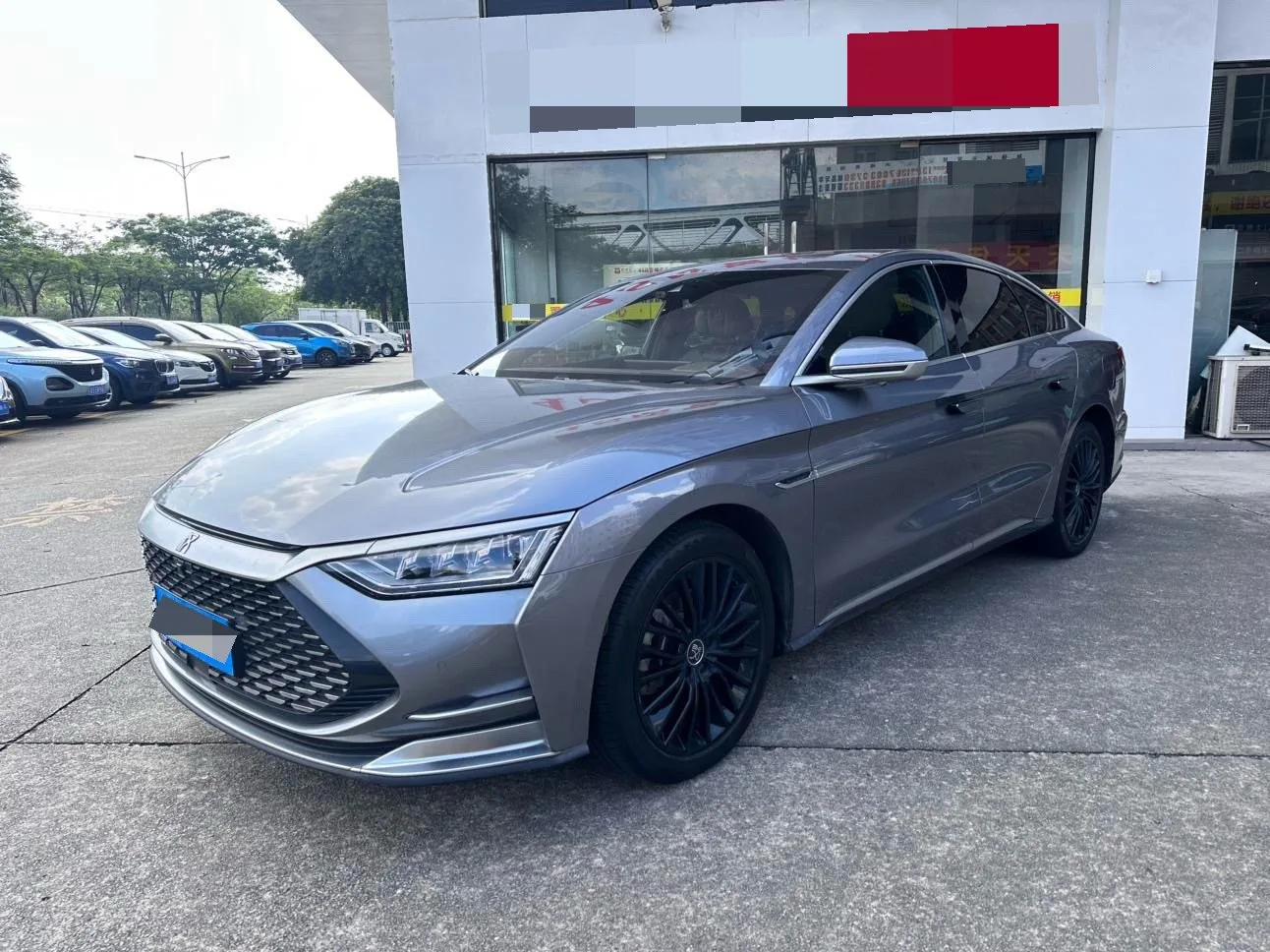 2020 Han DM 4WD Performance Premium Edition