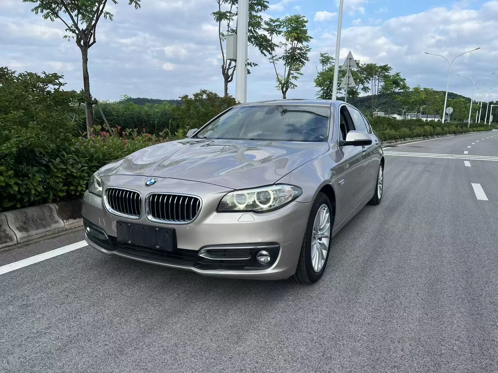 2017 BMW 5 Series 525Li Luxury Design Package