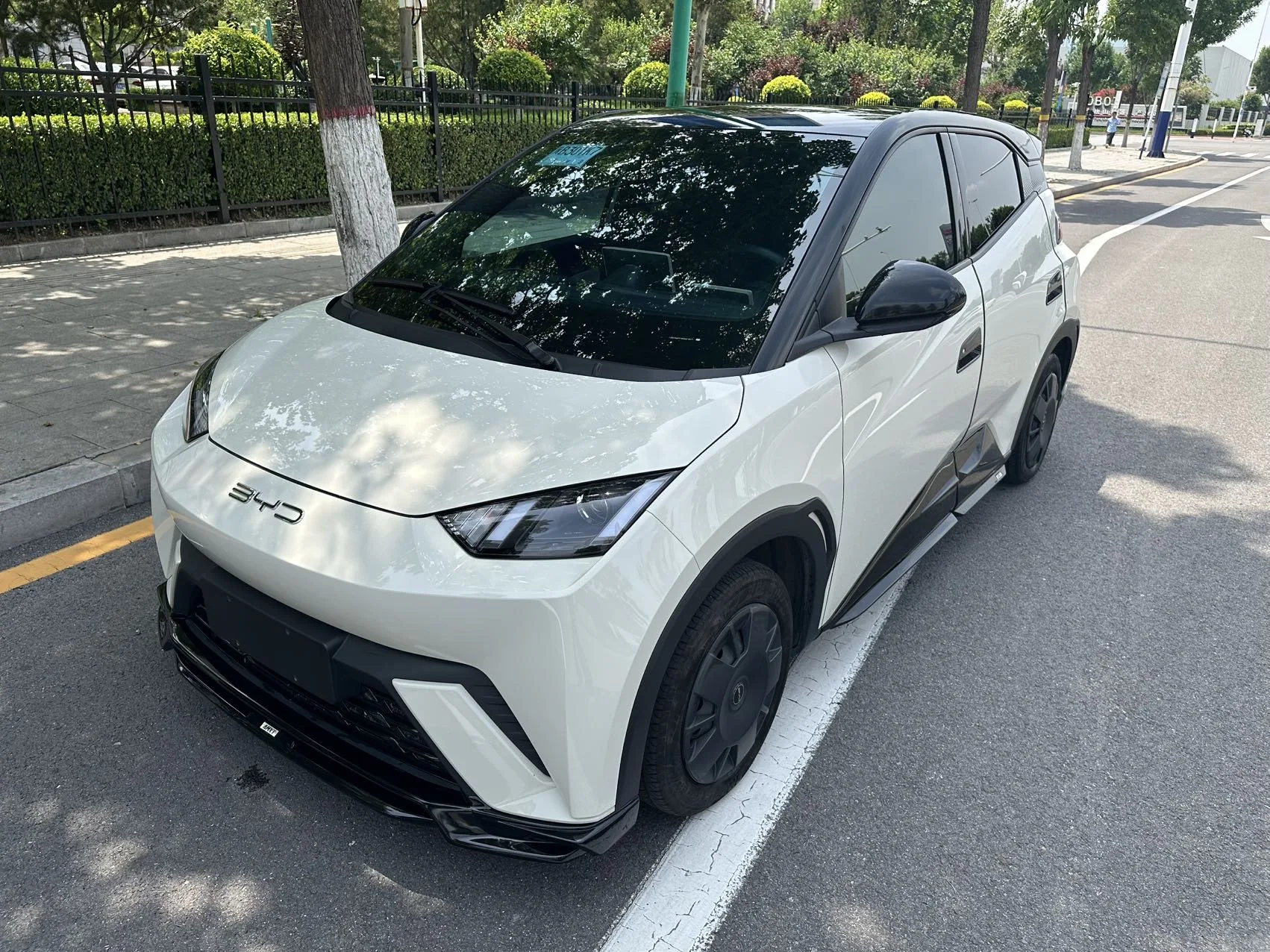BYD 2023 Seagull Vitality Edition Automatic