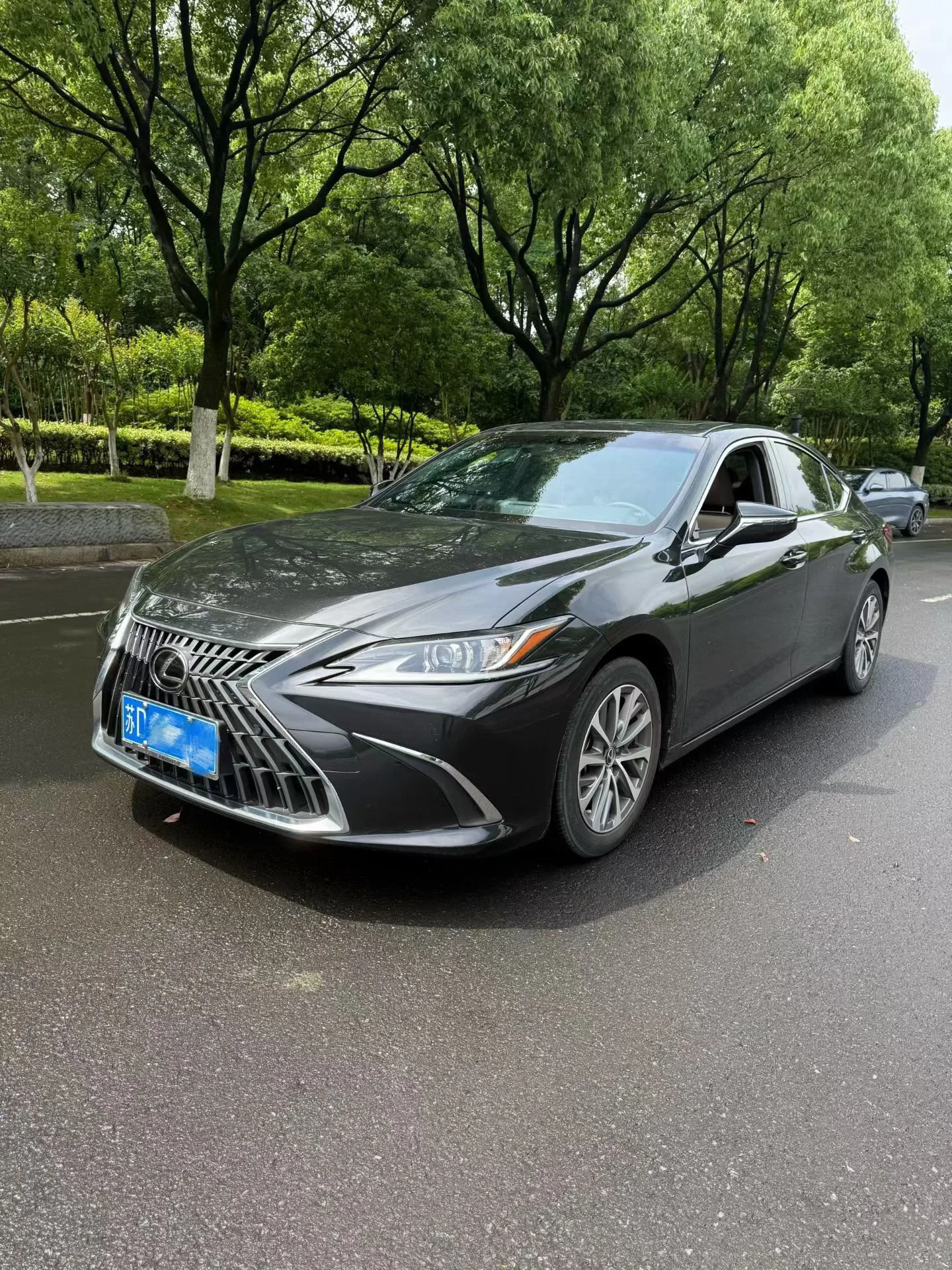 Lexus ES 2023 260 Premium Edition