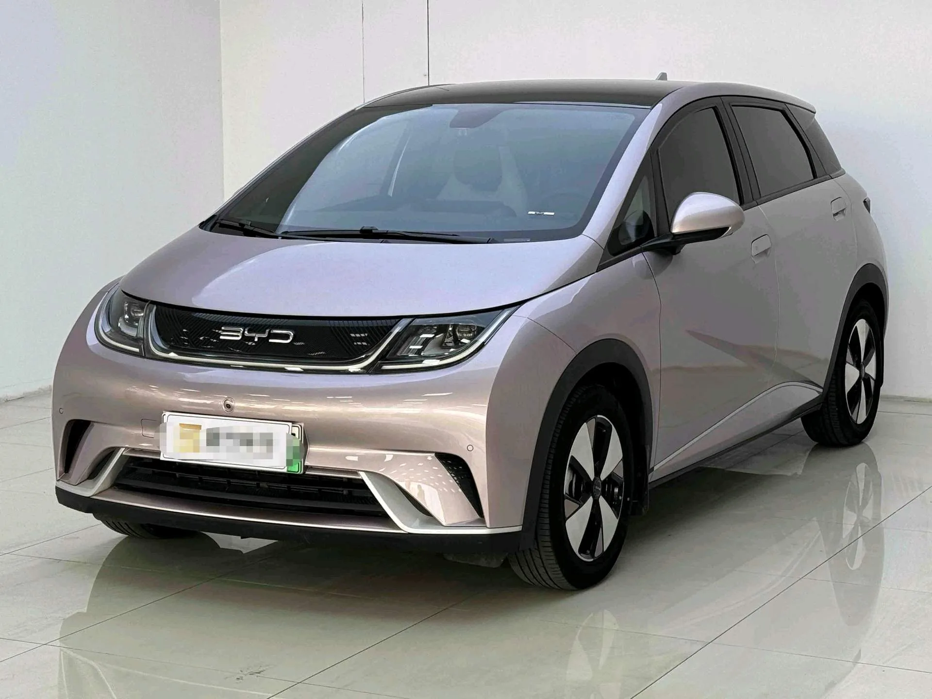BYD 2023 Dolphin 420km Fashion Edition Automatic