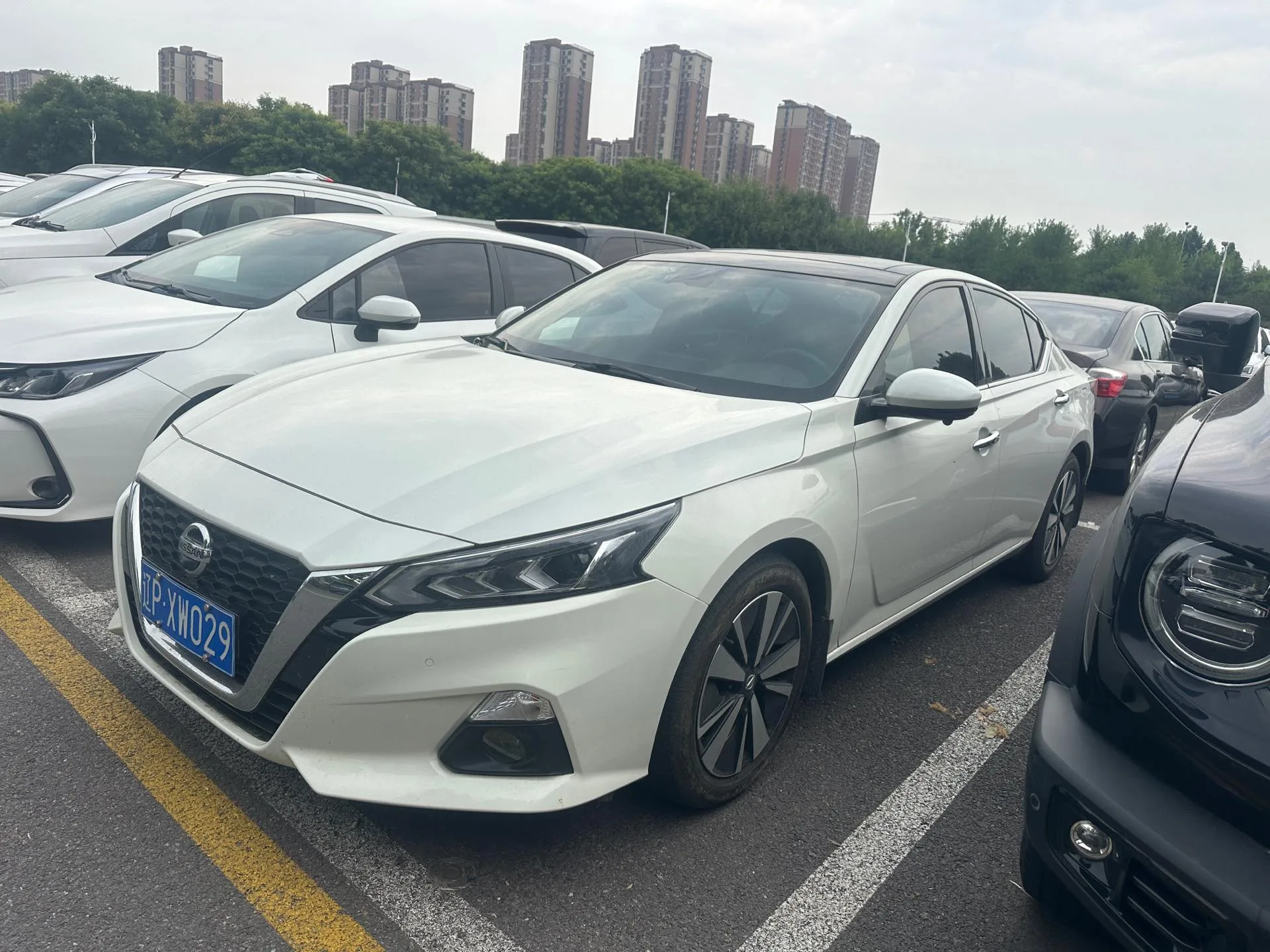 Teana 2021 2.0L XL Comfort Edition