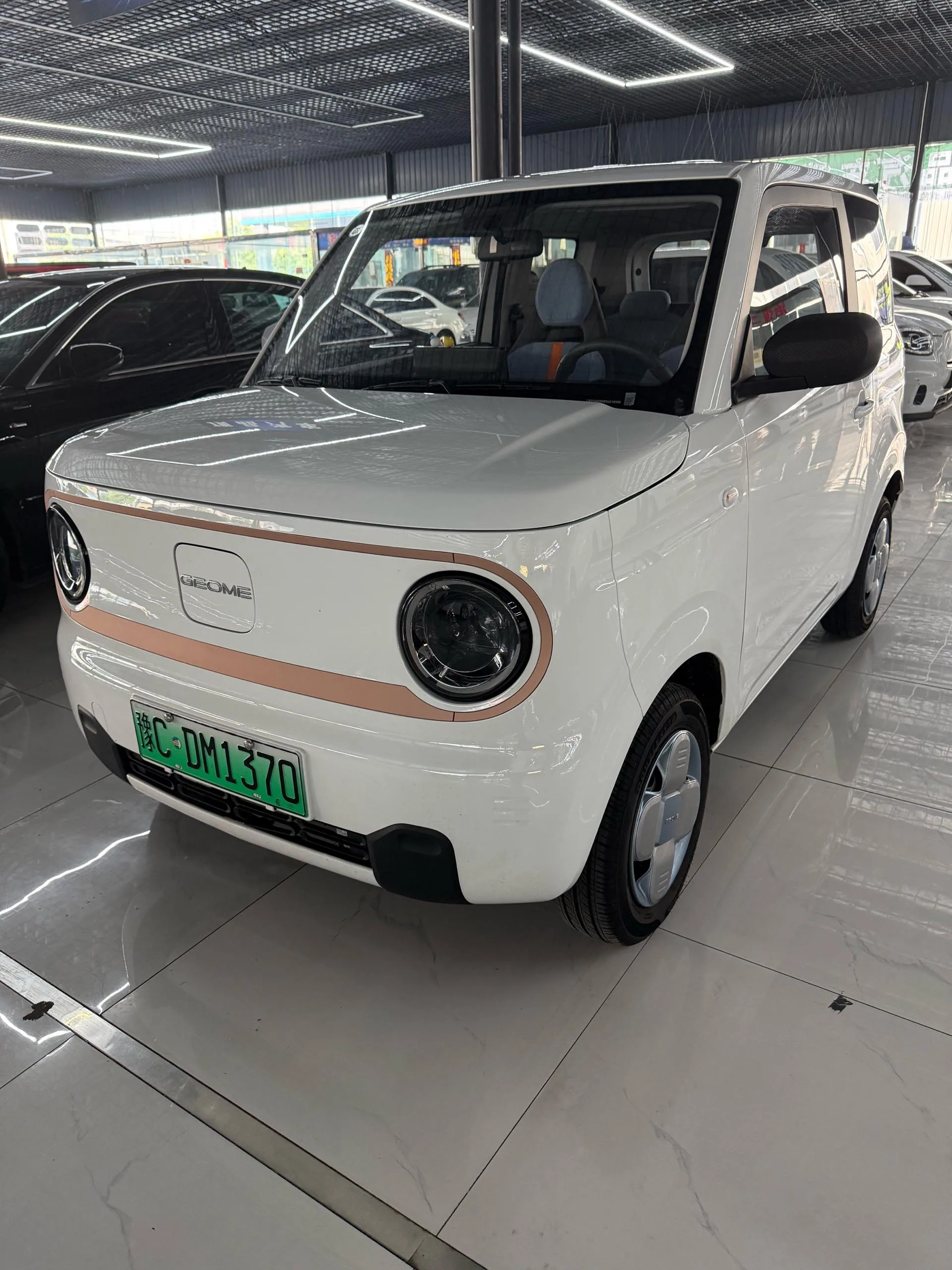 Panda 2024 Panda Mini 200km Endurance Bear