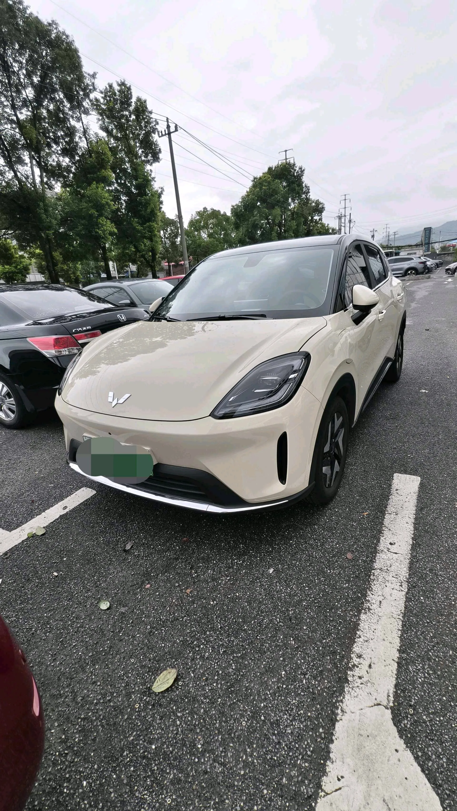 Bingo S 2025 Flagship Model 430km
