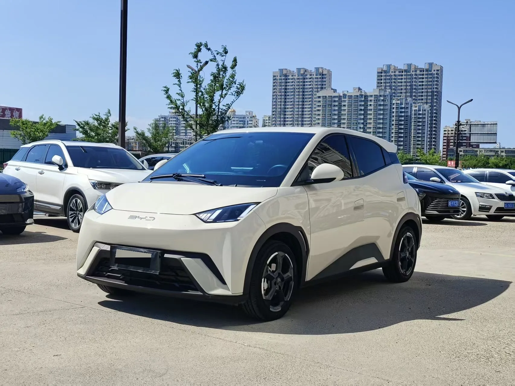 BYD 2023 Seagull Vitality Edition Automatic
