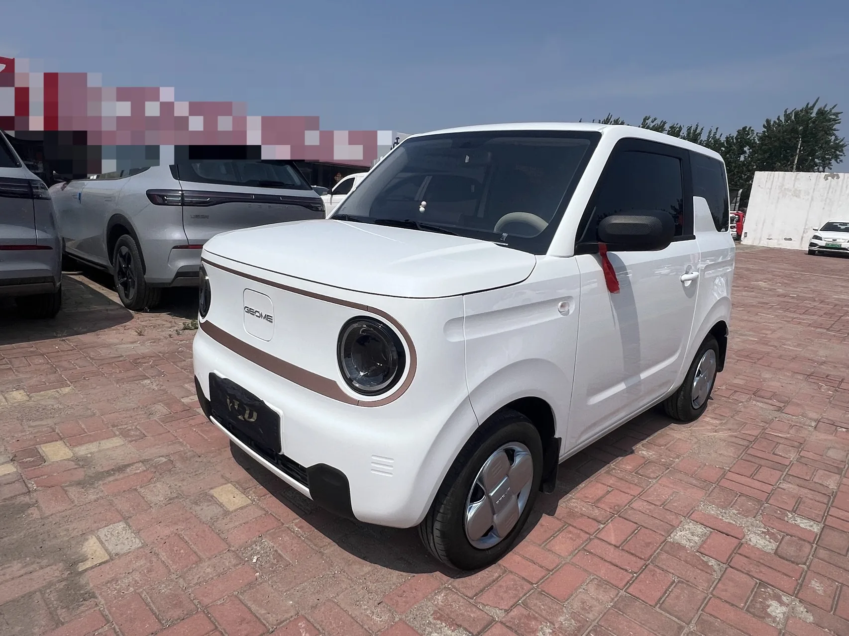 Panda 2024 Model 200km Panda Kart