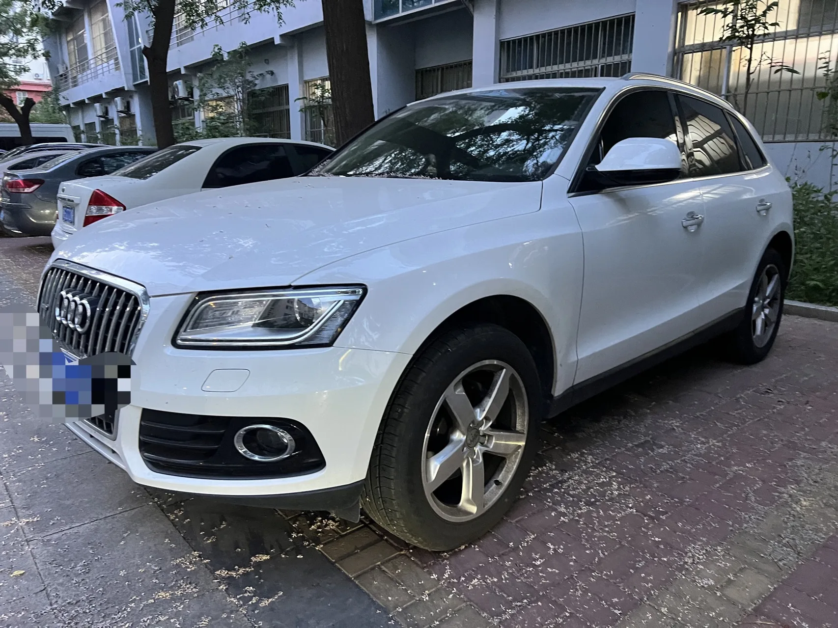 2017 Audi Q5 40 TFSI Progressive