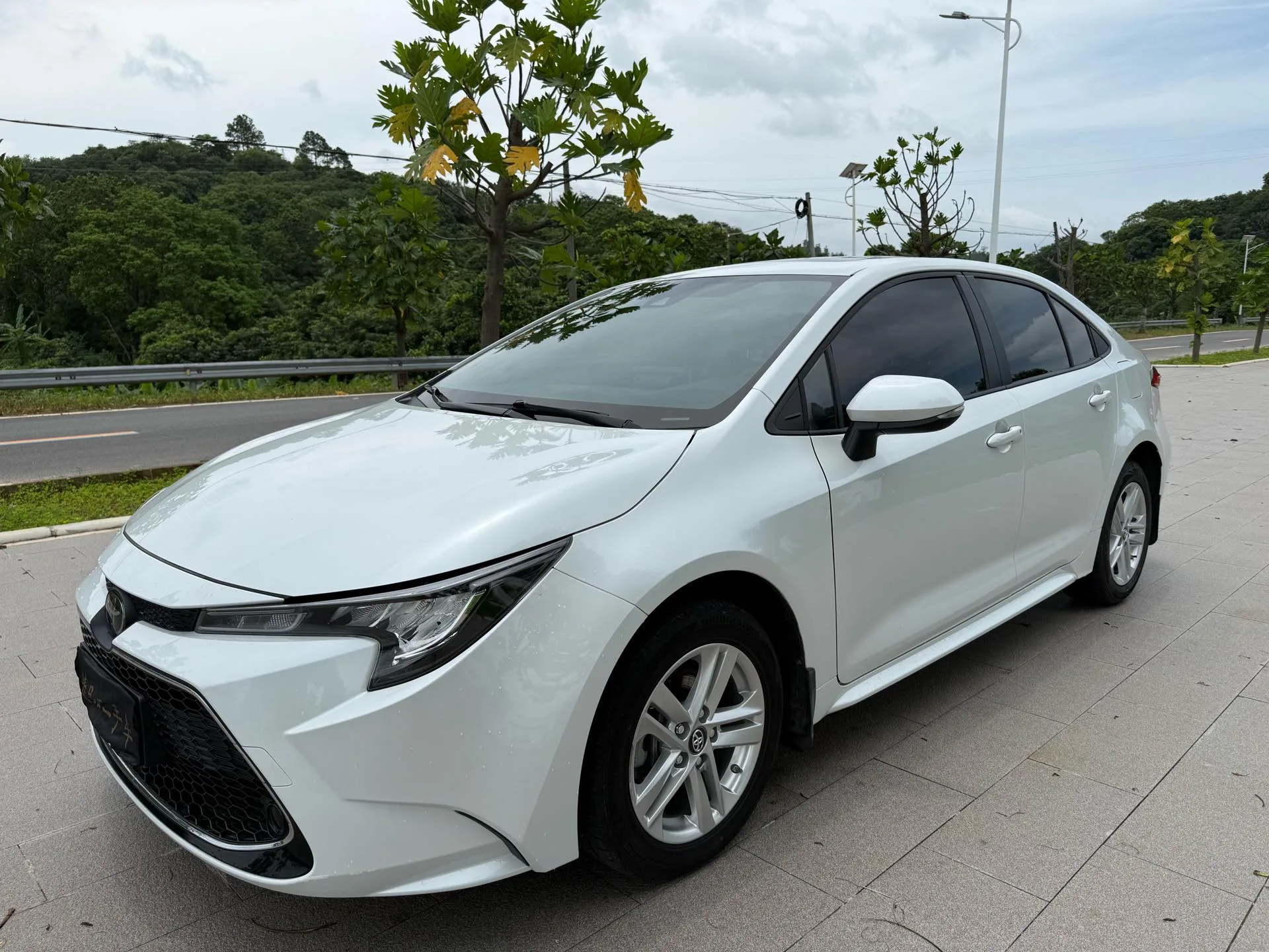 Levin 2019 185T CVT Luxury Edition (National V Emission Standard)