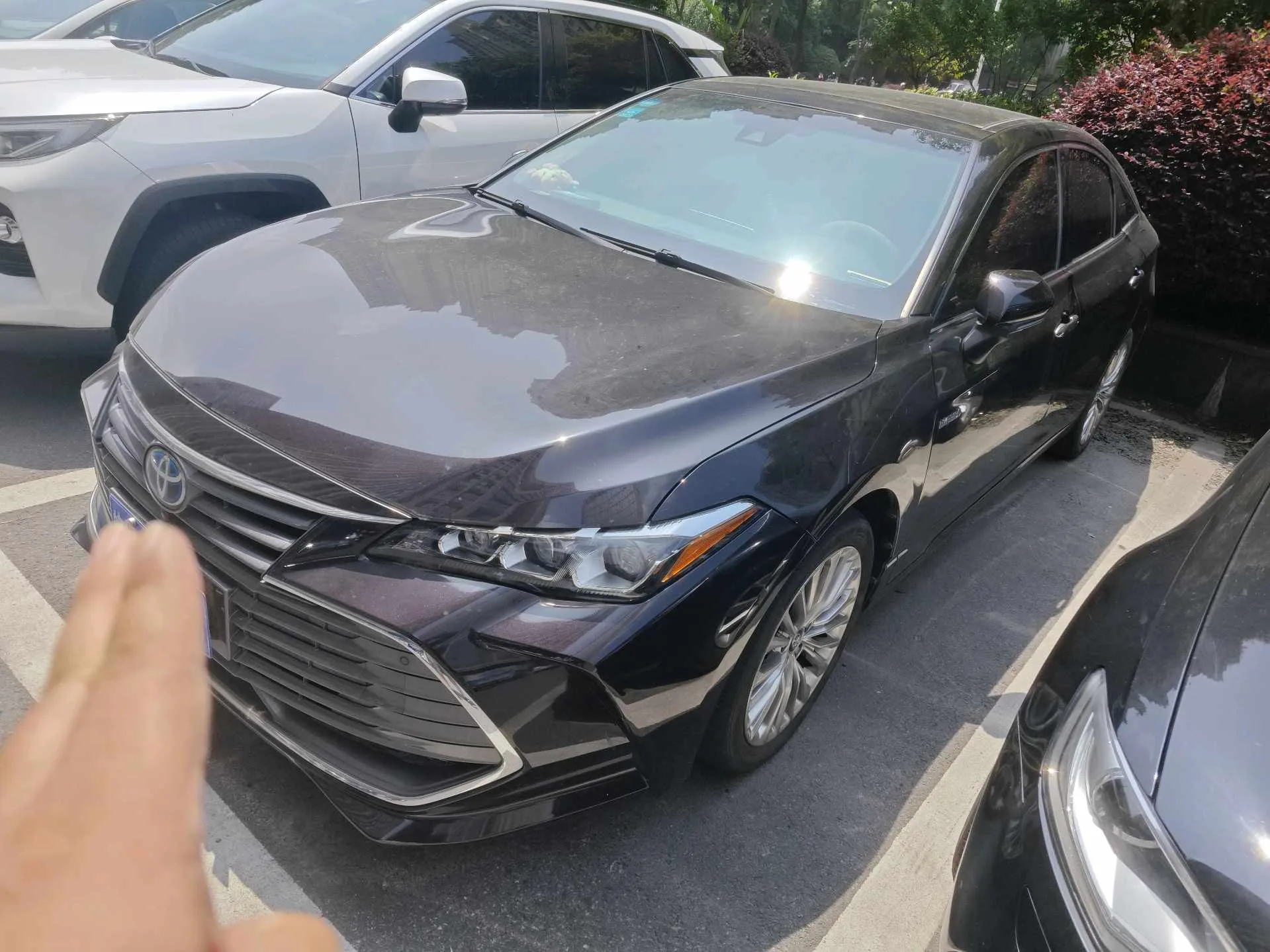 2019 Toyota Avalon Hybrid 2.5L XLE Premium Edition (National V Emission Standard)