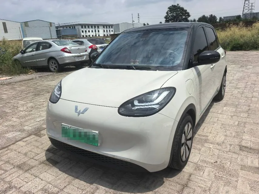 Wuling Bingo 2024 Model, 333km Range, Enjoy Edition