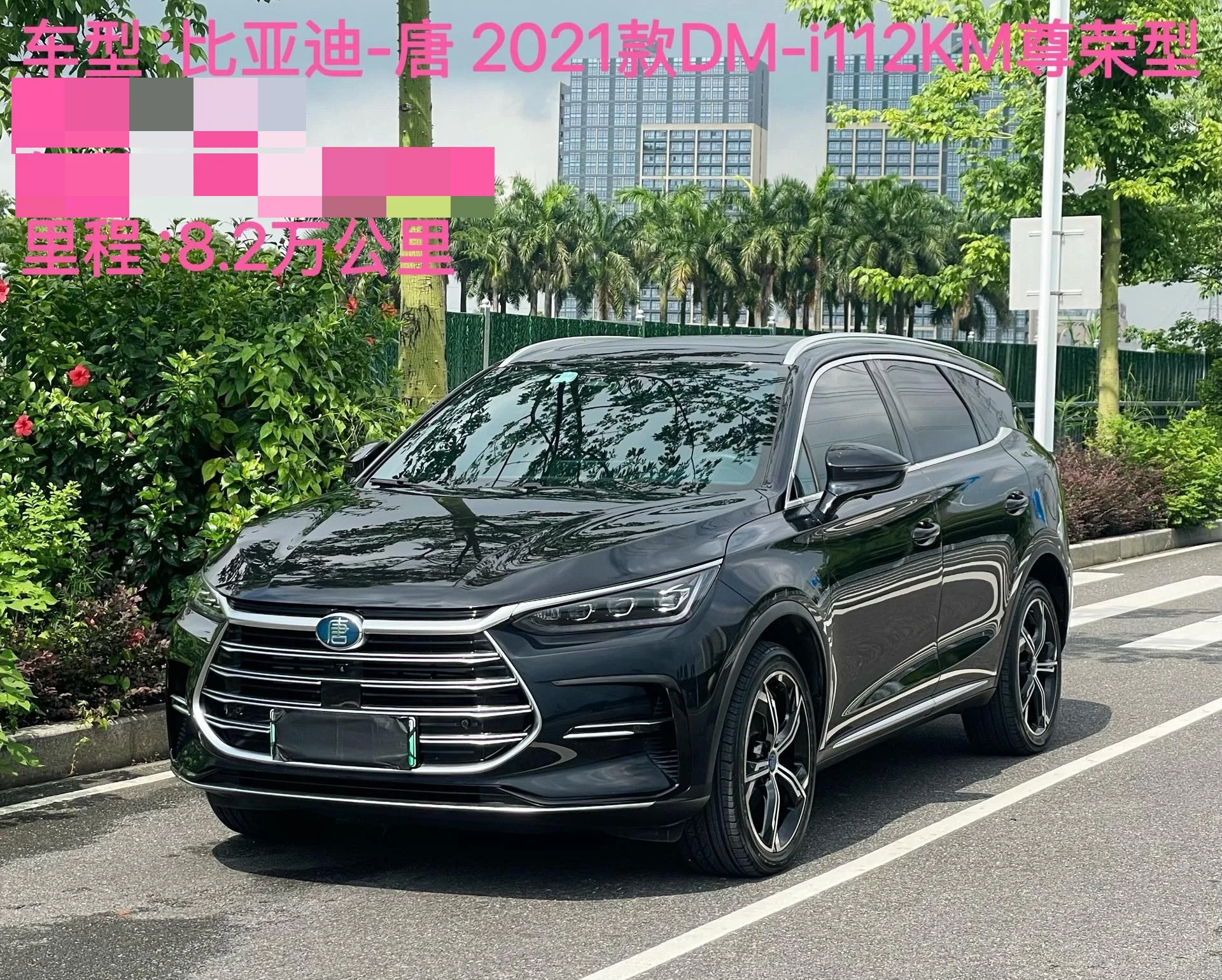 Tang New Energy 2021 DM-i 112KM Premium Edition