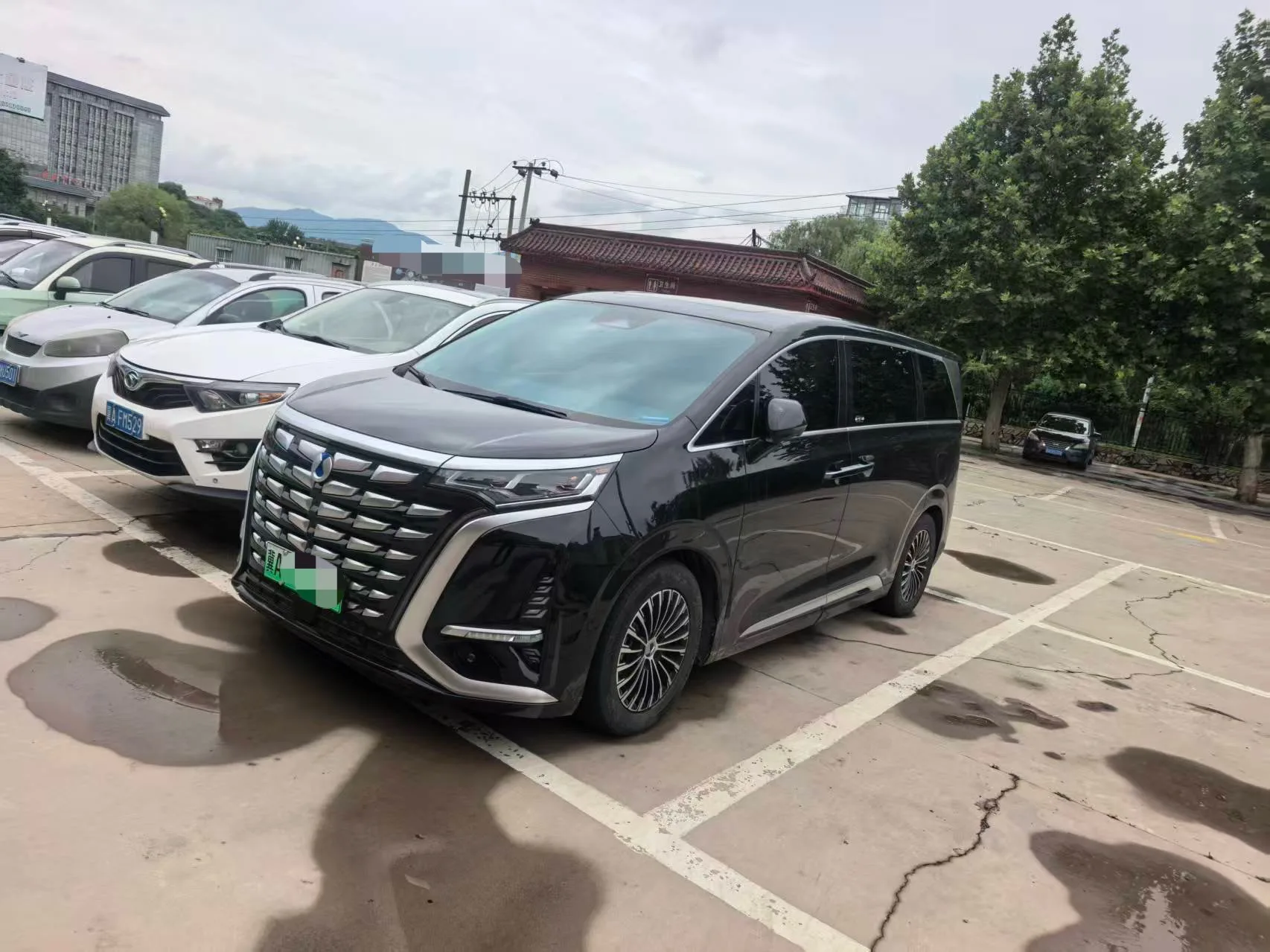 Denza 2024 Denza D9 DM-i 1.5T CVT 970 Luxury Automatic