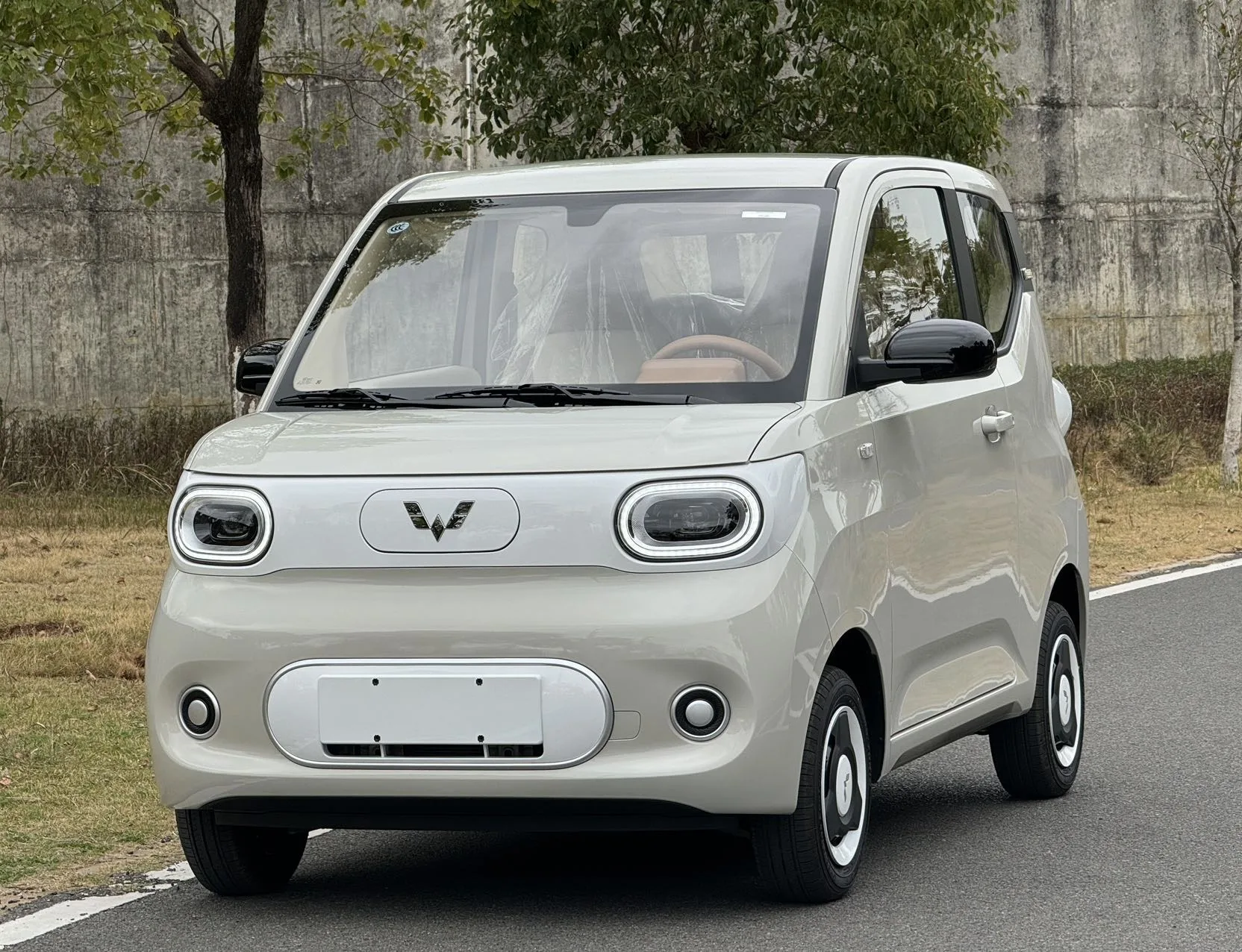 Wuling 2024 Hongguang MINI EV 215km Youth Edition Automatic