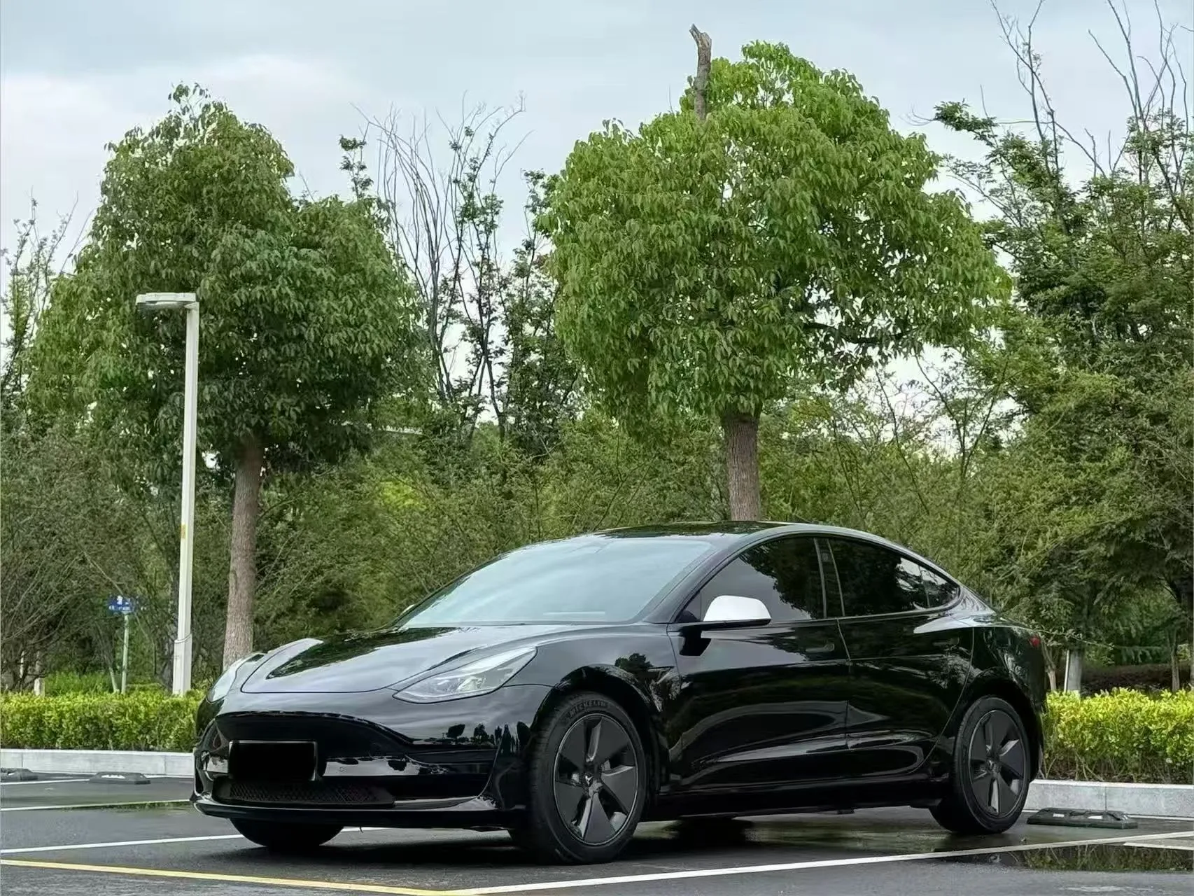 Model 3 2023 Rear-Wheel Drive