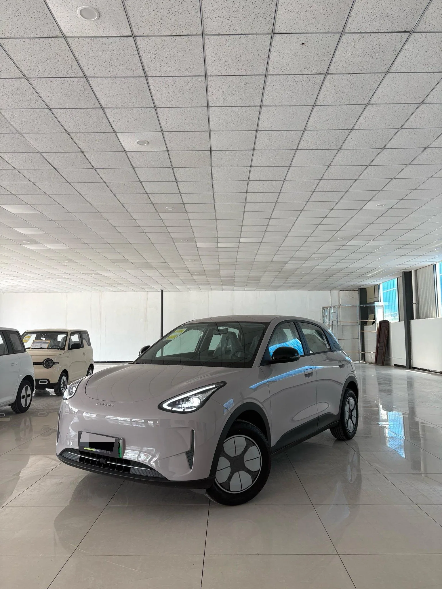 Star Wish 2026 Model 310km Youth Edition