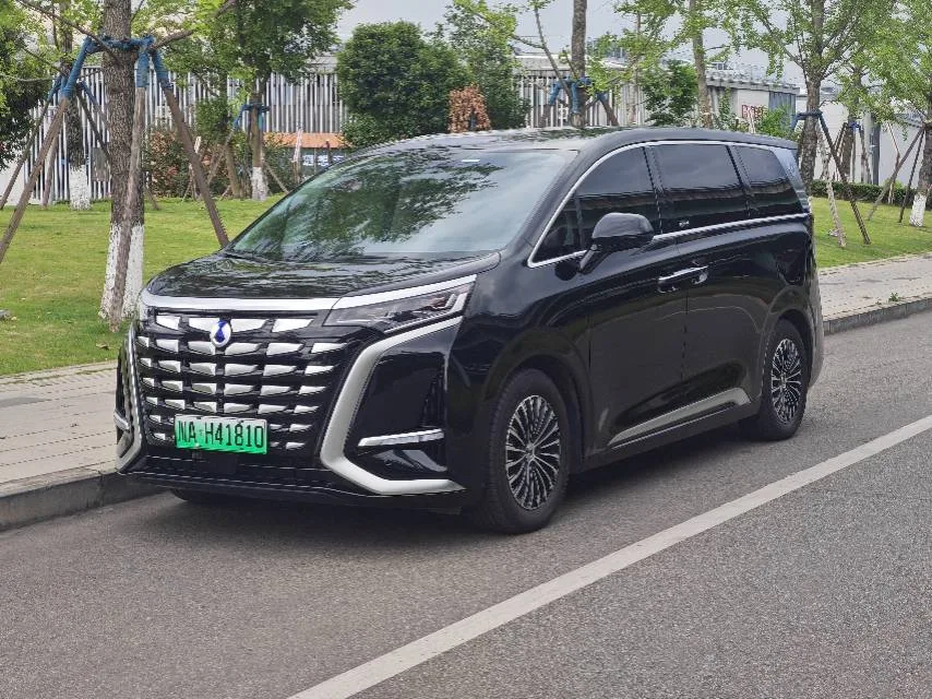 Denza D9 2024 DM-i 980 AWD Flagship