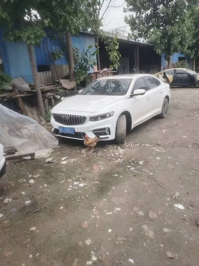 Xingrui 2021 Facelift 2.0TD Premium Edition