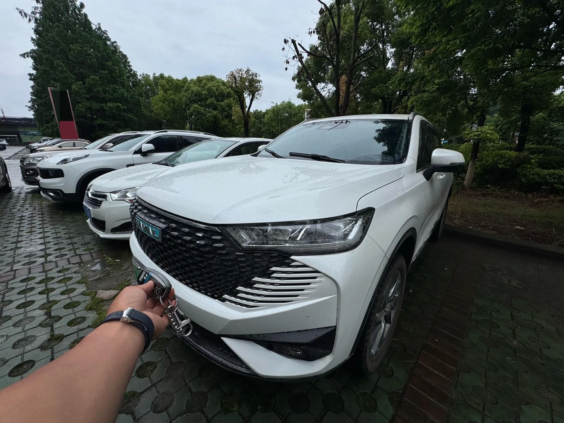 Haval H6 New Energy 2023 DHT-PHEV 110KM Joyful Edition