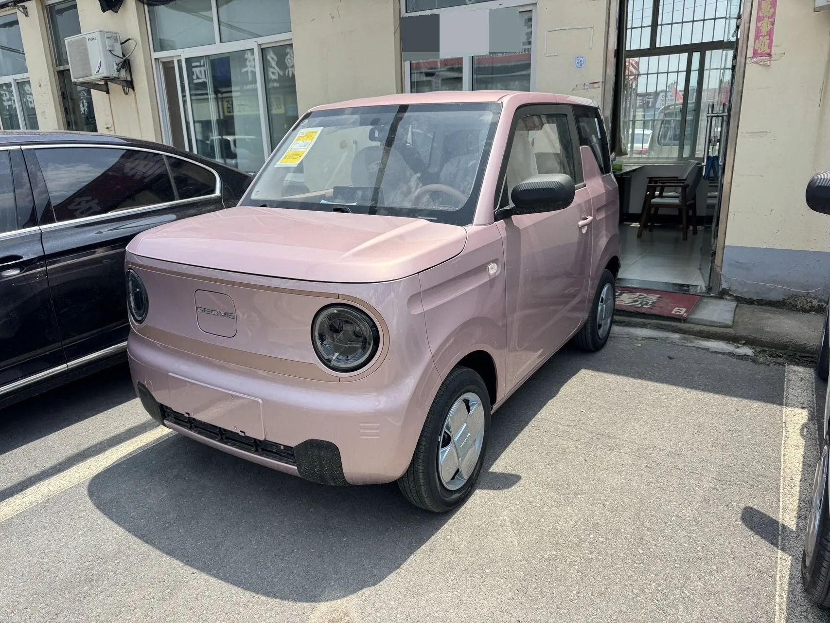 Panda 2024 Panda Mini 200km Endurance Bear