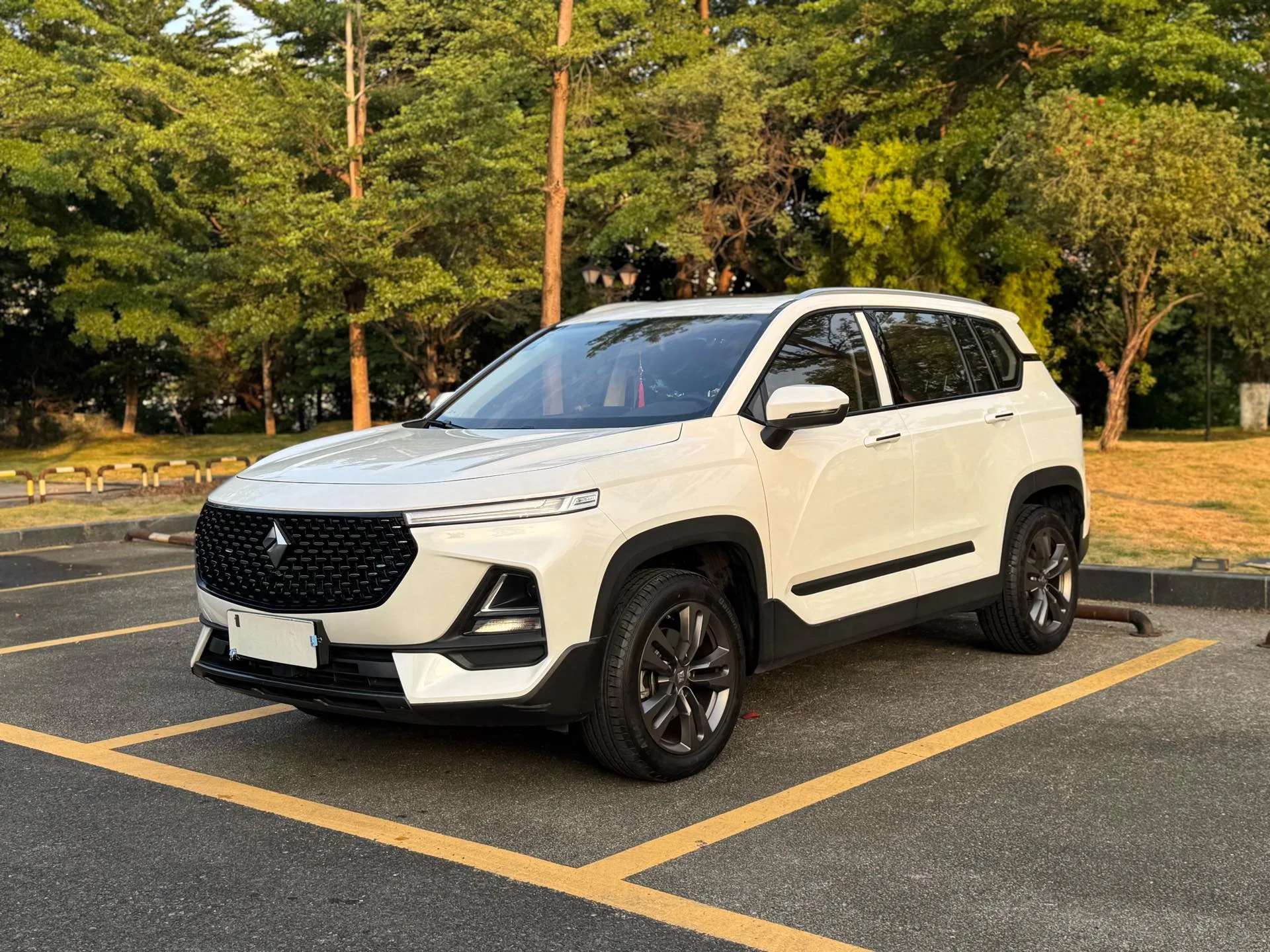 Baojun RS-5 2019 Model Year 1.5T CVT Smart Driving Control Luxury Edition, National V