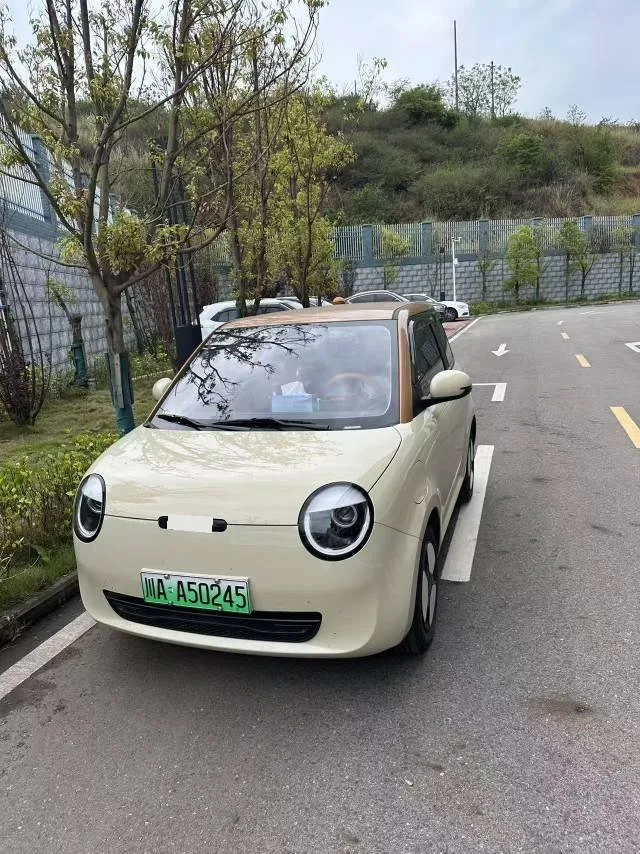 Changan 2025 Lumin 205km/h Fragrant Edition Automatic