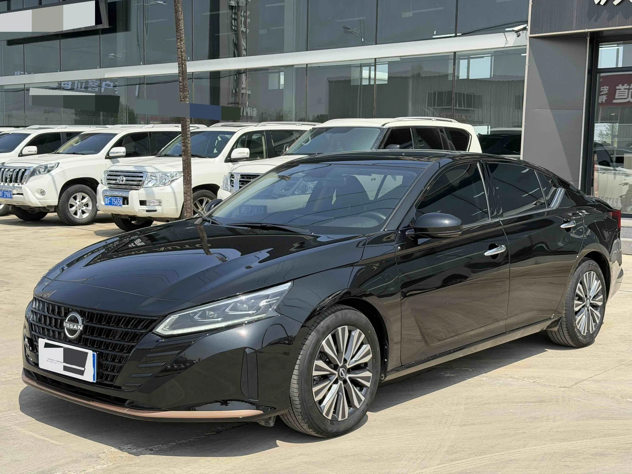 Tianlai 2024 2.0L SV Black Gold Edition