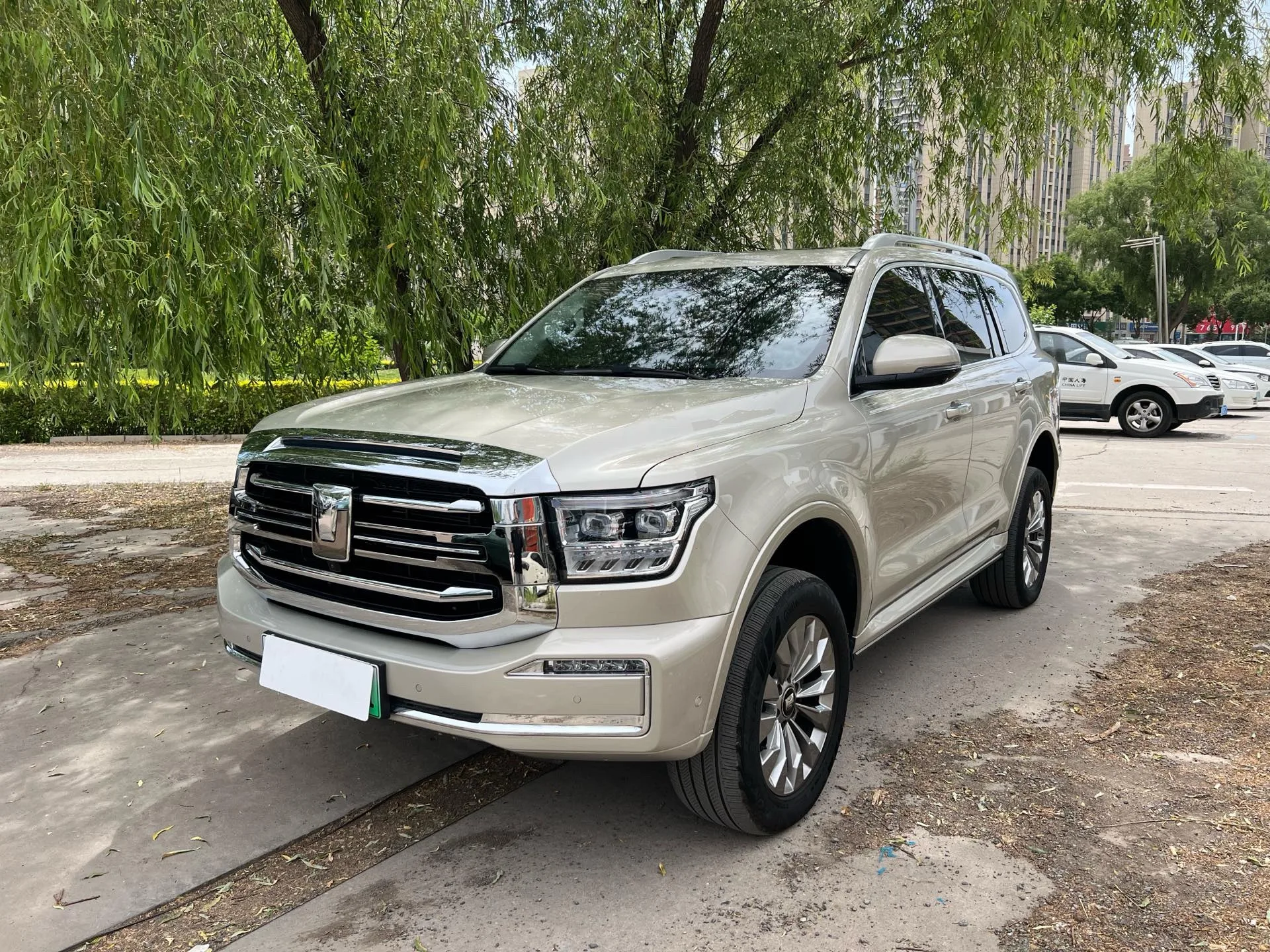 Tank 500 New Energy 2024 Model, Tank 500 Hi4-T 2.0T Hi4-T Black Warrior Edition, Automatic Transmission