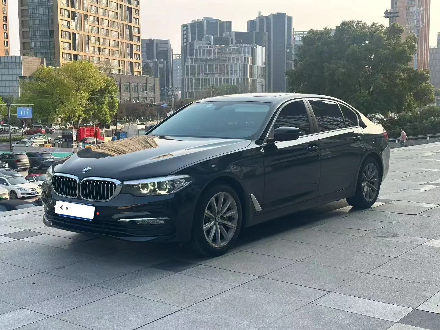 BMW 5 Series 2018 528Li Launch Special Edition