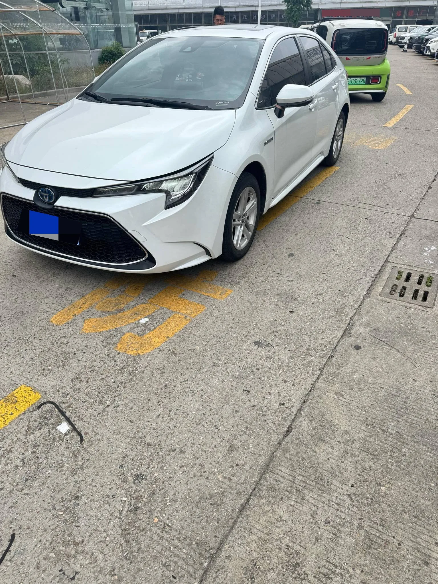 Levin 2022 Hybrid 1.8H E-CVT Luxury Edition