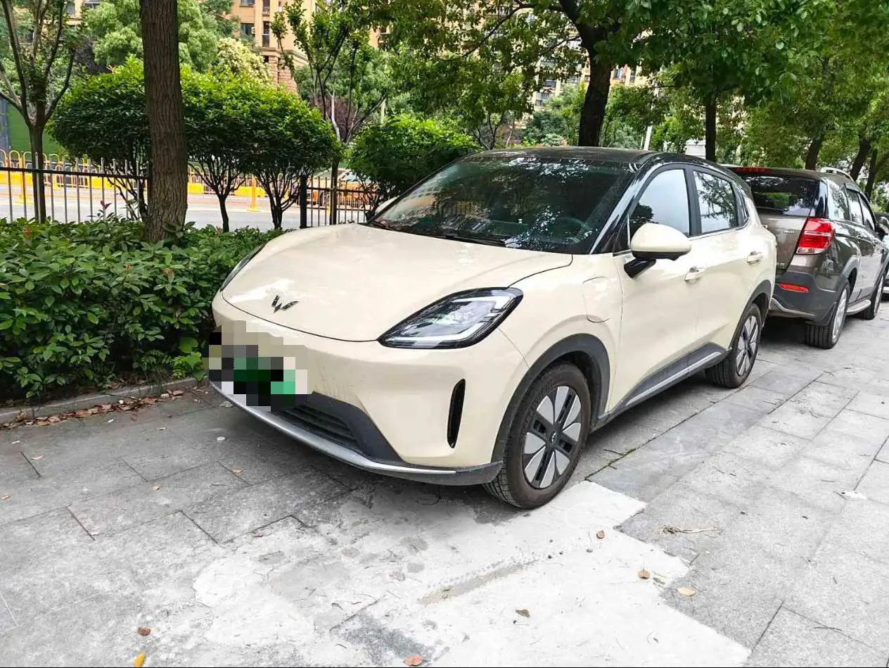 Bingo S 2025 Model 325km Premium Edition