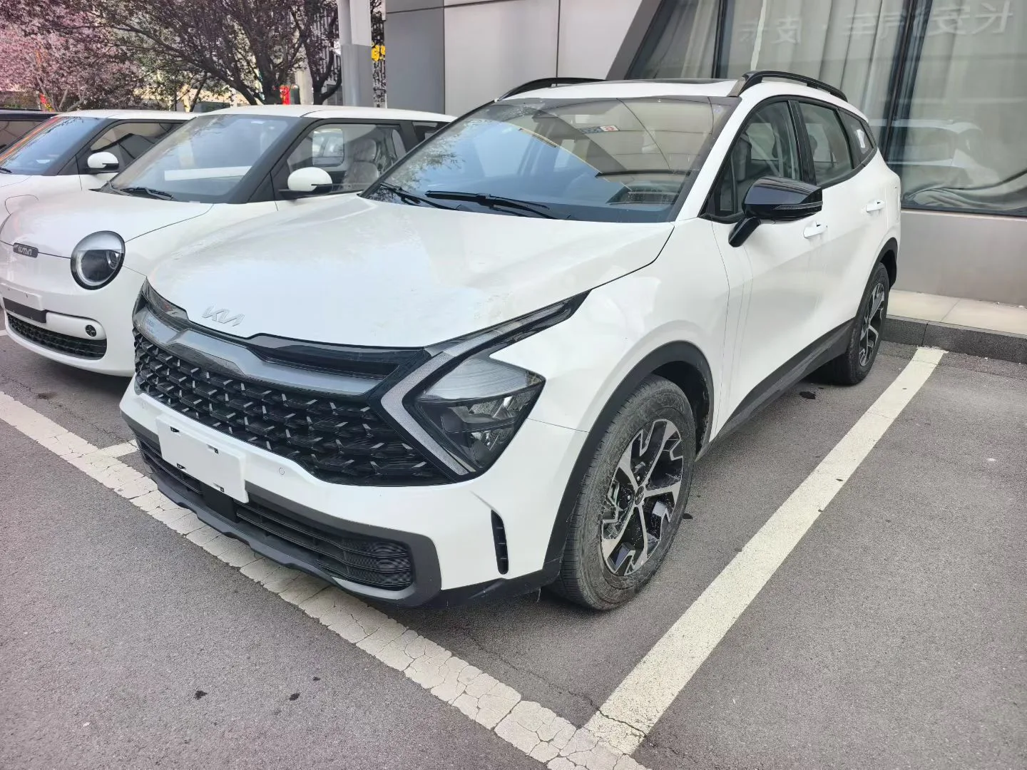 Kia 2025 Lion Platinum Edition 1.5T 2WD Premium Automatic