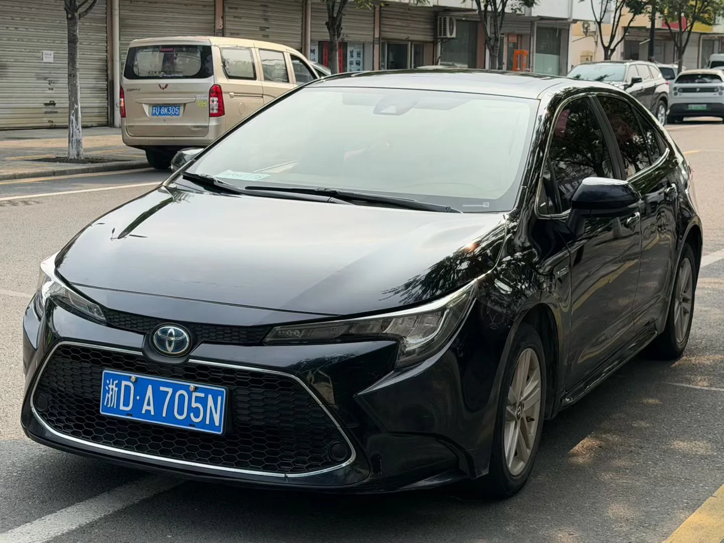 Levin 2019 Hybrid 1.8H E-CVT Luxury Edition (National V Emission Standard)
